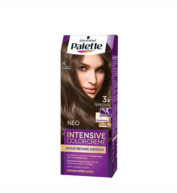 Palette Βαφή Μαλλιών Intensive Color Cream Ξανθό Σκούρο No 6 (110ml)